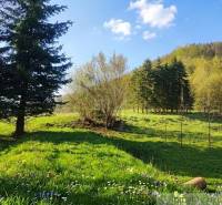 A landscape in the Gardens in Ľubietová with meadow greenery and pine trees under a blue sky.