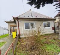 Family house on Seredska Street in Hlohovec, garden, hedge, tree, yellow container.