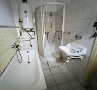 The bathroom in the family house contains a bathtub, a shower, a sink, and a boiler.