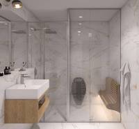 An elegant bathroom with a shower, mirror, and plants in a studio apartment.