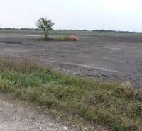 Sale Development land, Development land, Podháj, Dunajská Streda, Slov