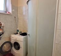 Bathroom in a family house with a shower and a washing machine.