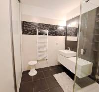 A bathroom in a two-room apartment with dark tiles and a shower corner.