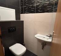 Bathroom in a 2-room apartment with black and white tiles and a wall-mounted toilet.
