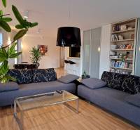 Living room in a two-room apartment with a sofa, books, and a wooden decor floor.