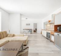 Spacious living room with kitchen, wooden decor flooring, large sofa.