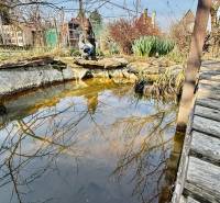 A garden at a family house in Suchá nad Parnou with a small pond and a wooden bridge.