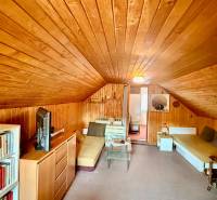 Attic room with wooden wall paneling, a bookshelf, and sofas.