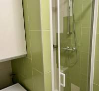 A shower corner in a bathroom with green tiles and a washing machine in a 2-room apartment.