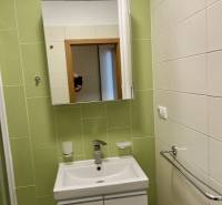 A bathroom with green tiles, a sink, and a mirror in a 2-room apartment.
