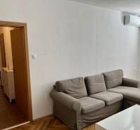 Living room in a two-room apartment with a sofa, wooden floor decor, air conditioning.