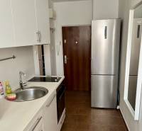 A kitchen with white cabinets, a sink basin, and a stainless steel refrigerator in a two-room apartment.