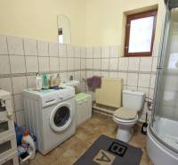 A bathroom in a family house with a washing machine, shower, and toilet on a floor with decor.