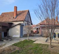 The backyard of a family house on Martinová Street in Lúčnica nad Žitavou with a lawn and trees.