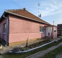 A family house in Lúčnica nad Žitavou on Martinová Street with a well-maintained garden.