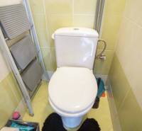 Bathroom toilet with tiles and a ladder dryer in a 2-room apartment.