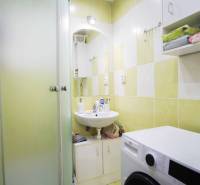 A bathroom in a 2-room apartment with a shower, sink, and washing machine.