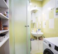 Bathroom with a sink, shower, and washing machine in a 2-room apartment.