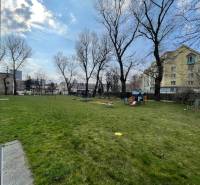 A spacious lawn with trees in Bratislava at Nivy on Košická with a play element.