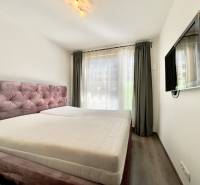 Bedroom with a bed, television, and wooden decor flooring in a 3-room apartment.