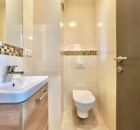 A bathroom in a 3-room apartment with a sink and a toilet, tiled with mosaic.