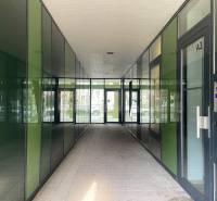 Entrance hall with glass doors and green walls in Bratislava - Nivy on Košická.