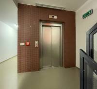 Entrance hall with an elevator, brown mosaic, and emergency exit in a 3-room apartment.