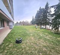 Exterior of a 3-room apartment in Bánovce nad Bebravou with a lawn and trees.