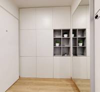 Built-in wardrobe with plants, mirror, and wooden decor flooring in a studio apartment.
