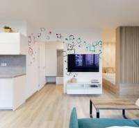 Interior of a 1-room apartment with a bright kitchen and colorful decorations on the walls.