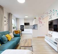 A one-room apartment with a wooden decor floor, a kitchen, and colorful cushions on the sofa.