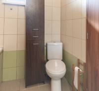 Bathroom in a family house with a toilet and a tall cabinet.