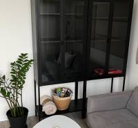Living room in a 2-room apartment with a sofa, black display cabinet, and plants.