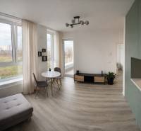 Living room in a two-room apartment with a wooden decor floor and large windows.