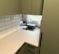 A kitchen unit with green cabinets, opening view to the living room in a two-room apartment.