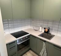 A kitchen in a 2-room apartment with a wood-patterned floor and green cabinets.