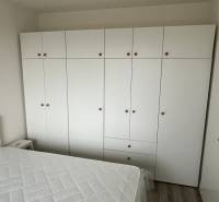Bedroom in a two-room apartment with a large wardrobe and a floor with a wooden decor.