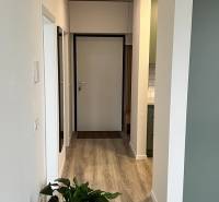 A hallway in a 2-room apartment with a wooden decor floor and a plant.