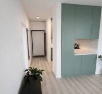 A hallway in a 2-room apartment with a wooden-patterned floor and a green wardrobe.