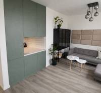 Living room in a two-room apartment with a sofa, wardrobe, and wooden decor flooring.