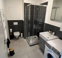 Bathroom of a 2-room apartment with a shower, washing machine, and sink with storage space.