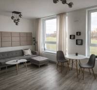 Living room with a sofa, tables, and a wooden decor floor in a 2-room apartment.
