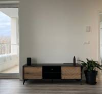 A living room with wood-patterned flooring, a TV stand, and a houseplant in a two-room apartment.