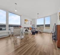Sale Three bedroom apartment, Three bedroom apartment, Žltá, Bratislav