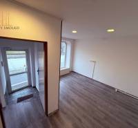 Commercial spaces with wood-patterned flooring, entrance doors, and white walls.