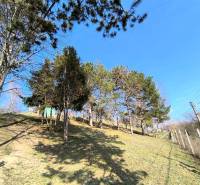 A holy peace in nature. A cottage in Partizánske surrounded by trees and a blue sky.