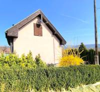 A cottage in Partizánske with a landscaped garden, surrounded by conifers and yellow shrubs.