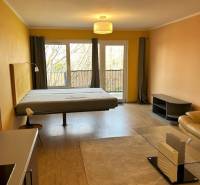 A spacious room in a 3-room apartment with a wood-patterned floor and large windows.