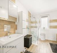 A bathroom in a family house with a wooden decor floor and a shower corner.