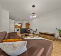 Living room in a 2-room apartment with a leather sofa, wooden decor flooring, and a dining table.